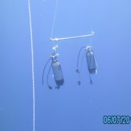 Kefalonia Diving