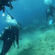 Kefalonia Diving